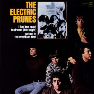 Electric Prunes, The - The Electric Prunes (Vinyl LP)