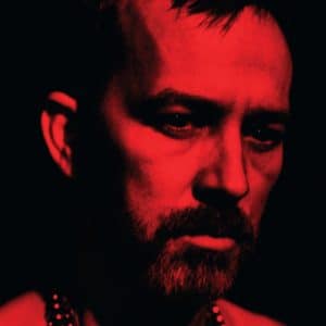 Duquette Johnston - The Social Animals (Vinyl LP)