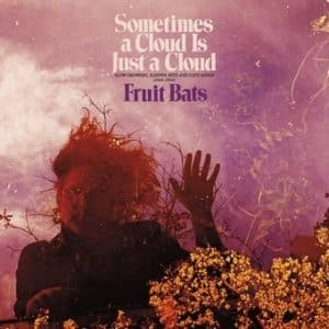Fruit Bats - Sometimes A Cloud Is Just A Cloud: Slow Growers, Sleeper Hits And Lost Songs (2001-2021) (Vinyl 2xLP, Pink/Violet Swirl)