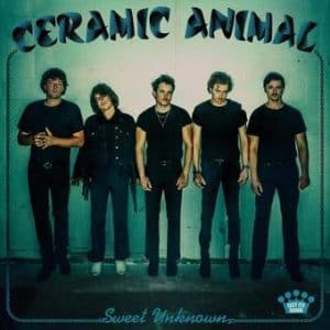 Ceramic Animal - Sweet Unknown, Limited Edition (Vinyl LP, Blue Smoke)