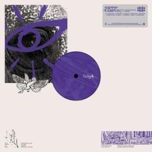 *Hippo Campus - LP3, Indie Exclusive (Vinyl LP, Purple)