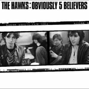 Hawks, The - Obviously 5 Believers (Vinyl LP)