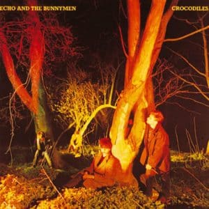 Echo & The Bunnymen - Crocodiles, Remastered (Vinyl LP, 180g)