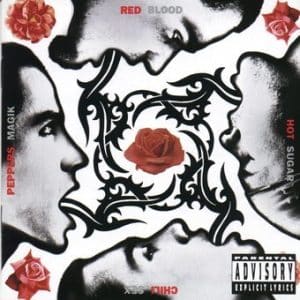 Red Hot Chili Peppers - Blood Sugar Sex Magik (Vinyl 2xLP, 180g)