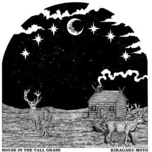 Kikagaku Moya - House In The Tall Grass (Vinyl LP)