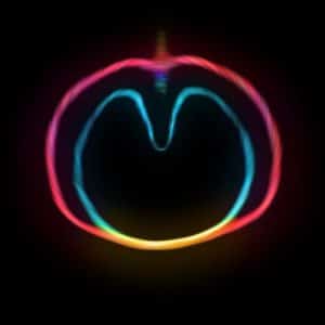 XTC - Wasp Star (Vinyl LP, 200g)