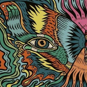 Tronosonic Experience, The - The Shadow Vol I (Vinyl LP, 180g)