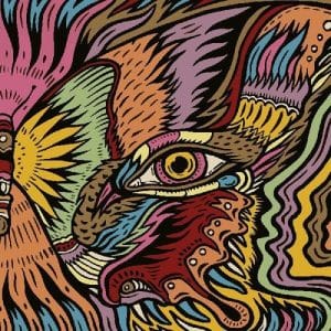 Tronosonic Experience, The - The Shadow Vol II (Vinyl LP, 180g)