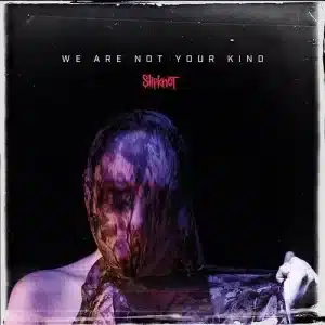 Slipknot - We Are Not Your Kind (Vinyl 2xLP)