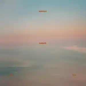 Warpaint - Radiate Like This (Vinyl LP, Yellow)