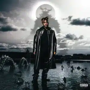 Juice Wrld - Fighting Demons (Vinyl 2xLP)