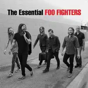 Foo Fighters - The Essential Foo Fighters (Vinyl 2xLP)