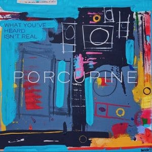 Porcupine - What You've Heard Isn't Real (Vinyl EP, 45rpm, Blue Swirl)