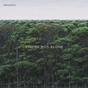 Semisonic - You're Not Alone (Vinyl EP, 45rpm)