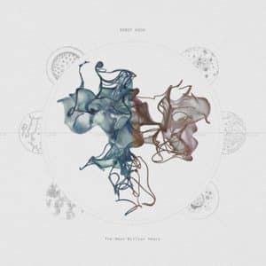 Robot Koch - The Next Billion Years (Vinyl 2xLP)