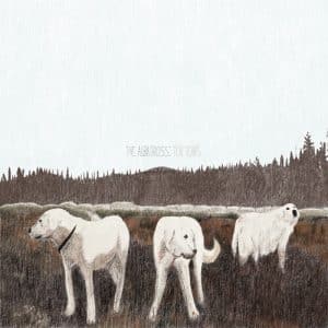 Foxing - The Albatross: Ten Years (Vinyl LP, Brown Vinyl)