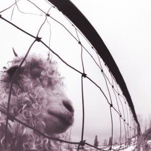 Pearl Jam - VS., 30th Anniversary Edition (Vinyl 2xLP, 180g, 45rpm)