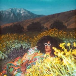 Brittany Howard - What Now (Vinyl LP)