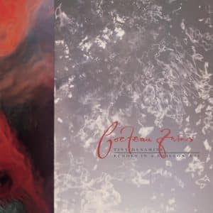 Cocteau Twins - Tiny Dynamine & Echoes In A Shallow Bay (Vinyl LP, 180g)