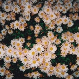 Bad Bad Hats - Bad Bad Hats (Vinyl LP, Pink Vinyl)