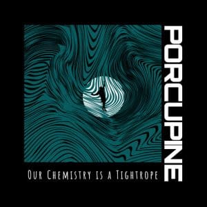 Porcupine - Our Chemistry Is A Tightrope (Vinyl LP)
