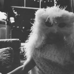 Fruit Bats - The Glory Of Fruit Bats, 2016 Release (Vinyl LP)