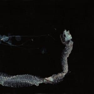 Tenhi - Maaet (Vinyl 2xLP)