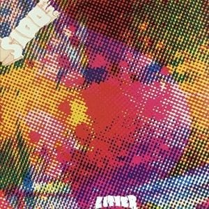 The Litter - $100 Fine (Vinyl LP)