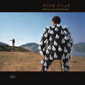 Pink Floyd - Delicate Sound Of Thunder (Vinyl 2xLP, 180g)