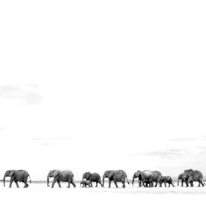 Dave Matthews Band - Where Are You Going: The Singles (Vinyl 2xLP)