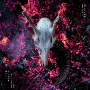 Colin Stetson - Love It Took To Leave You (Vinyl 2xLP)