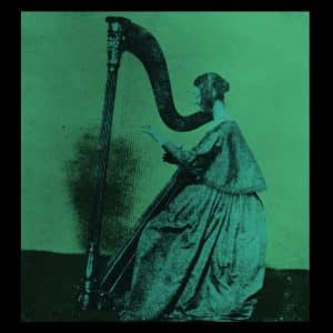 TV Girl – Grapes Upon The Vine (Vinyl LP)