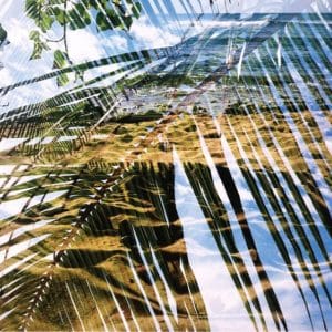 Dogs On Acid – Dogs On Acid (Vinyl LP)