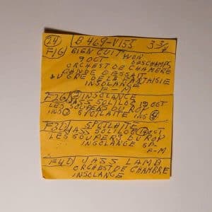 Mac DeMarco - Here Comes The Cowboy Demos (Vinyl LP)