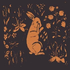 Sadness - Rabbit Album (Vinyl LP)