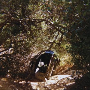 Ty Segall - Possession (Vinyl LP)