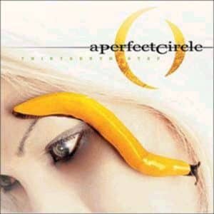 A Perfect Circle - Thirteenth Step (Vinyl 2xLP)