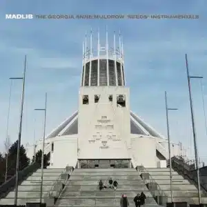 Madlib / Georgia Anne Muldrow - Seeds [Instrumentals] (Vinyl LP)