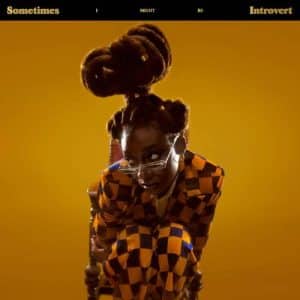 Little Simz - Sometimes I Might Be Introvert (Vinyl 2xLP)