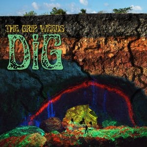 The Grip Weeds - DiG (Vinyl LP)
