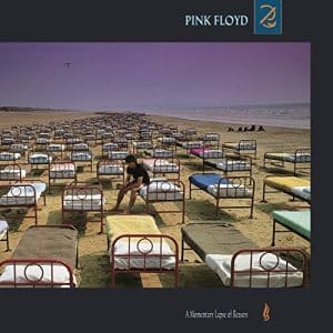 Pink Floyd - A Momentary Lapse of Reason (Vinyl LP, 180g)