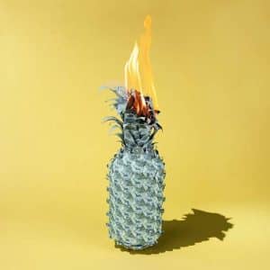 The Happy Fits - Under The Shade Of Green (Vinyl LP)