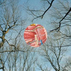 They Might Be Giants - Glean (Vinyl LP, "Clear W/Red Wisps" Color, 180g)