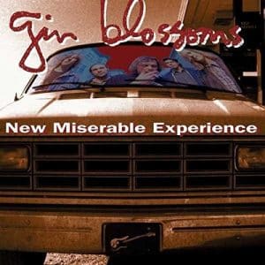 Gin Blossoms - New Miserable Experience (Vinyl LP)