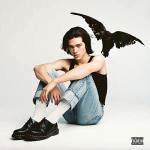 Conan Gray - Kid Krow (Vinyl LP)