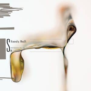 Sandy Bull - Still Valentine's Day 1969 (Vinyl 2xLP)