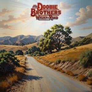The Doobie Brothers - Walk This Road (Vinyl LP)