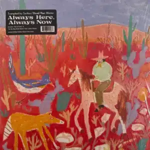 Trampled By Turtles and Dead Man Winter - Always Here / Always Now (Vinyl LP, "Amber Wave" Color)