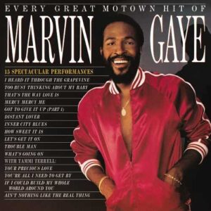 Marvin Gaye - Every Great Motown Hit Of Marvin Gaye (Vinyl LP)