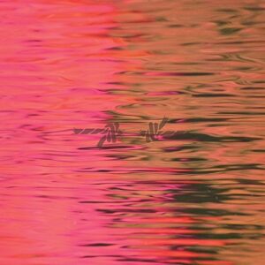 Silverstein - Dead Reflection (Vinyl LP)